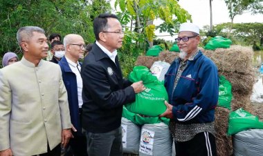 รัฐบาลเยียวยาเหยื่อน้ำท่วม 3 จว.ใต้ นำร่องนราฯดับ 8 หมื่น-บ้านพัง 1.5 หมื่น-2.3 แสน