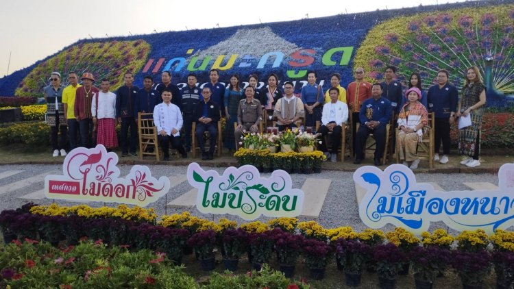 เทศกาลดอกไม้ดอก ไม้ประดับ ไม้เมืองหนาว ดอกไม้งาม แห่งขุนเขา ณ แก่นมะกรูด