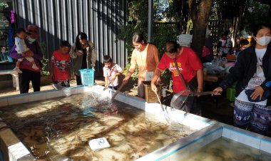 ตลาดพิมายยอดพุ่งคนแห่ซื้ออาหารทะเลเลี้ยงปีใหม่ก่อนกลับกรุง