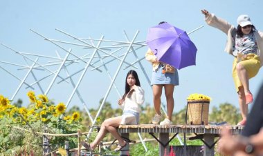 "เป๋าตุงฟาร์ม" สวนดอกไม้สีสวย จุดเซลฟี่เก๋ไก๋บันไดสู่สวรรค์ที่ตากฟ้า