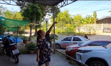 ชาวกบินทร์เดือดร้อนหนักทาสยาอาละวาดลักไฟโซราเซลสูญเกลี้ยงกว่า 10 ตัว