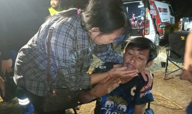 หนุ่มหลงป่าเล่านาทีระทึกเจอเสือโคร่งปีนขึ้นต้นไม้หนีตาย