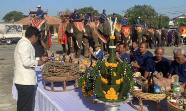 ยิ่งใหญ่อลังการพิธีสืบสานสักการะพ่อหมื่นแผ้วเลี้ยงโฮงปะกำช้างบ้านค่ายเมืองชัยภูมิ