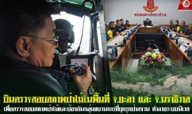 ป่าไม้ยะลา-นราธิวาสยกระดับคุมเข้มสกัดแก๊งบุกรุกป่าสงวนฯ