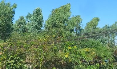 ชาวแม่สอดวอนหน่วยรัฐเร่งแก้ไขสายไฟฟ้าหย่อนเกือบติดพื้นหวั่นเกิดอันตราย