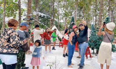 'คาเฟ่แคมป์ปิ้ง' บรรยากาศสุดฟิน ท่ามกลางหิมะตก โรแมนติกสไตล์เกาหลี