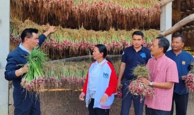 เกษตรกรศรีสะเกษเฮลั่นห้างดัง-ปั๊มน้ำมันทั่วไทยลุยรับซื้อหอมแดงถึงสวน
