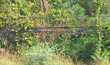 หน่วยงานที่เกี่ยวข้องแม่สอด ยังเมินแก้ไข สายไฟฟ้าระบบสายโทรศัพท์ สายเคเบิ้ลหย่อนเกือบติดพื้น