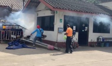 เตือนแม่ตั้งครรภ์อย่าให้ถูกยุงลายกัดมีโอกาสติดเชื้อไวรัสซิกา อีสานระบาดหนัก