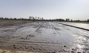 ชาวนาเศร้าข้าวราคาตกต่ำลุ้นขายขาดทุนต้องรอลุ้นช่วงเม.ย.ขยับกก.ละ15-20