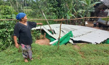 ผญบ.บ้านกำปงปาเระเล่านาทีระทึกต่อเชื่อกโรยตัวช่วยเหยื่อน้ำท่วมนราฯกว่า 10 ชีวิตหนีตาย