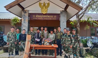 อุทยานฯเขาใหญ่ล้อมจับ 3 มอดไม้กัมพูชาลอบขึ้นเขาใหญ่ฝั่งปราจีนโค่นไม้พยูงยึดของกลางเพียบ