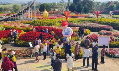 เที่ยววังน้ำเขียวคึกคักแห่ชมสวนดอกไม้เมืองหนาวฟลอร่าพาร์ค