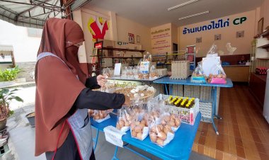 ผู้ค้าไข่ไก่เบตงอ่วมไข่ไก่แพง กระทบยอดขายลดลง ผู้ซื้อหดหาย