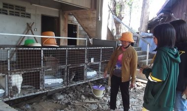 พระวอนโยม อย่าขนแมวมาทิ้งเป็นภาระวัด  เชิญชวนคนใจบุญมาเลือกไปรับเลี้ยงเอาบุญ