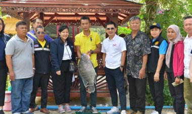 กรมทรัพย์สินทางปัญญฯพื้นที่เบตงผลักดันปลาพลวงชมพูต้นน้ำป่าฮาลาบาลาขึ้นทะเบียน GI