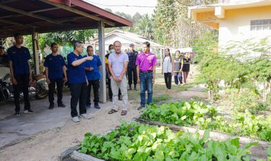 บ้านนี้มีรัก ปลูกผักกินเอง ขยายผลสู่ชุมชนรอบค่ายทหาร