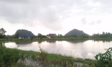 ชาวนาพัทลุงร่ำไห้เขื่อนพร่องน้ำจมนาข้าวพันไร่ขาดทุนยับ