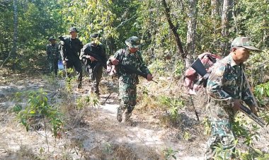 จนท.ป่าห้วยศาลาลุยเก็บบ่วงดักสัตว์ป่าชายแดนไทย-กัมพูชา ทำลายทิ้ง