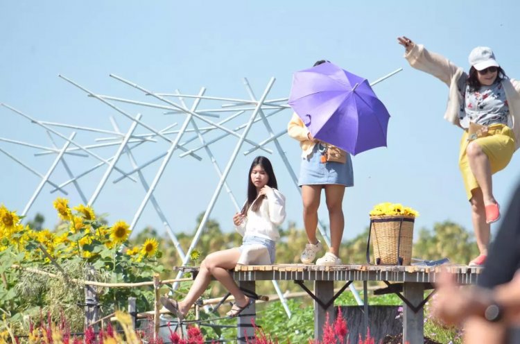 "เป๋าตุงฟาร์ม" สวนดอกไม้สีสวย จุดเซลฟี่เก๋ไก๋บันไดสู่สวรรค์ที่ตากฟ้า