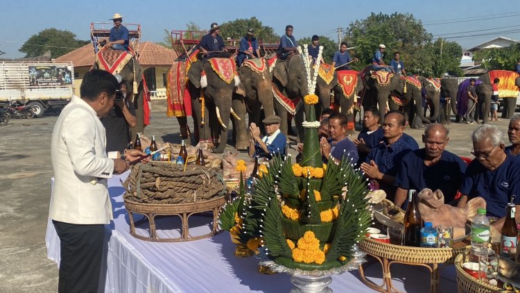 ยิ่งใหญ่อลังการพิธีสืบสานสักการะพ่อหมื่นแผ้วเลี้ยงโฮงปะกำช้างบ้านค่ายเมืองชัยภูมิ