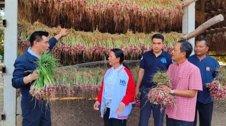 เกษตรกรศรีสะเกษเฮลั่นห้างดัง-ปั๊มน้ำมันทั่วไทยลุยรับซื้อหอมแดงถึงสวน
