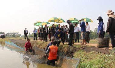 ลาวนำต้นแบบกระชังริมแม่น้ำพองขอนแก่นสร้างรายได้ชุมชนยั่งยืน