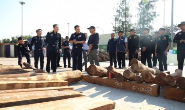 กรมศุลกากร จับกุม “ไม้พะยูง”และ “ไม้ประดู่” เลี่ยงศุลกากร เตรียมส่งออก จำนวน 772 ท่อน มูลค่าของกลางกว่า 4.6 ล้านบาท