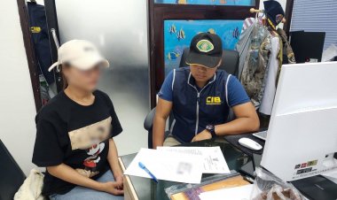 บก.ปทส.รวบสาวลักลอบส่งเต่าอินเดียสัตว์คุ้มครองไปเกาหลีโดยไม่ได้รับอนุญาต