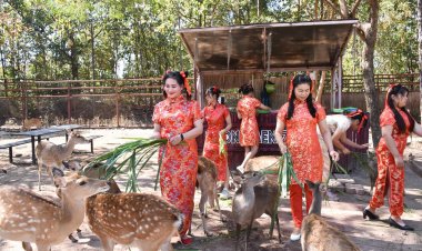 วันเที่ยวตรุษจีนสวนสัตว์ขอนแก่นเปิดต้อนรับนทท.อัดกิจกรรมแน่น