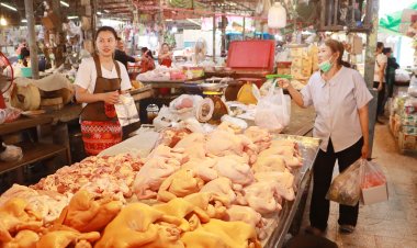 ชาวพิจิตรเชื้อสายจีนสืบสานประเพณีวันตรุษจีนจับจ่ายซื้อของเซ่นไหว้บรรพบุรุษ
