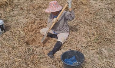 พลิกผื่นนาแล้งล่าปูนาจำศีลทำอาหาร-ขาย วิถีชีวิตของคนห้วยแถลง