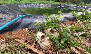 สลดตายยกครัว "พ่อ-แม่-ลูก"จมสระลึก 5 ม.กลางสวนยางที่กระบี่