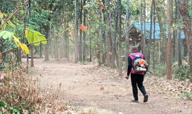 ร้อนแล้งลมแรงไฟป่าโหมกระหน่ำเขามะค่าโคราชลามแล้วหลายร้อยไร่