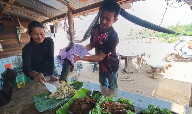 จับของแพงลงกระบอกไม้ไผ่ ทำหลามไข่มดแดง  เมนูเด็ดหน้าแล้ง