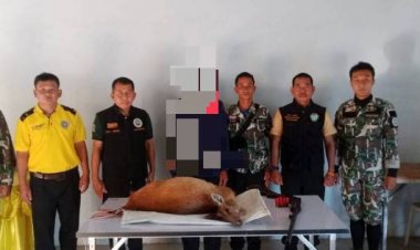 เก้งวิ่งหนีไฟป่ากลับถูกพรานยิงดับ จนท.สกัดจับได้คาเรือหางยาว