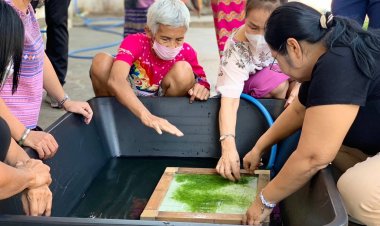 เกษตรกรอำเภอแม่สอดส่งเสริมผู้สูงวัยประดิษฐ์กระดาษสาจากพืชธรรมชาติ