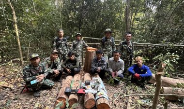 จนท.ล้อมจับแก๊งมอดไม้ลอบขึ้นเขาใหญ่โค่นต้นพะยูงฝั่ง ปราจีนบุรี