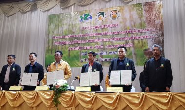 ยกระดับความร่วมมือพัฒนาศักยภาพแข่งขันด้านยาพาราเหนือเพื่อความยั่งยืน