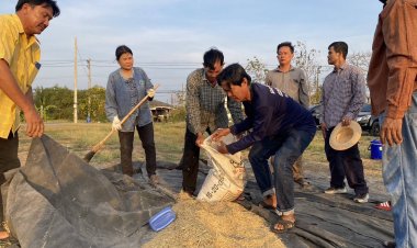 นายอำเภอลำลูกกา ทำฝัดข้าว “ปิ่นแก้ว” เก็บรักษาเพื่อนำไปขยายพันธุ์ ในโคก หนอง นา