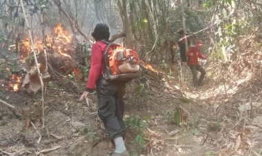 ไฟป่ายังร้อนระอุ หมอกควันปกคลุมเมืองน่าน ค่ามลพิษพุ่งขั้นอันตรายต่อสุขภาพ