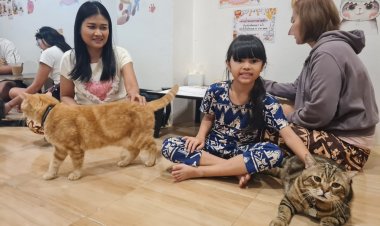 "หัวนม คาเฟ่แมว"โคราชฟีเวอร์ ทาสแมวแห่อุดหนุนเต็มร้านทุกร้าน