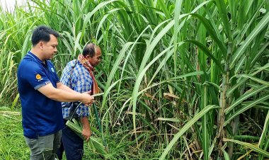 "ซีพีเอฟปันน้ำปุ๋ย” ปีที่ 23 เกษตรกรปลื้ม ช่วยลดต้นทุน-ผ่านพ้นวิกฤตแล้ง