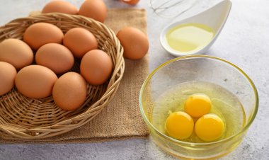 ไข่ไก่ ไม่ใช่ สาเหตุของคอเลสเตอรอลในเลือดสูง