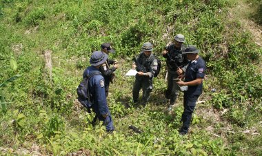 เจาะพื้นที่ยอดเขานายทุนรุกปลูกทุเรียนกลางป่ารอยต่อจังหวัดสงขลา-ยะลา