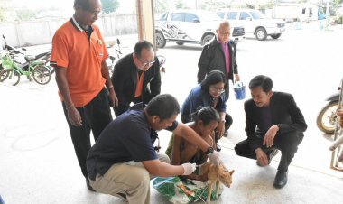 เทศบาลเมืองศรีสะเกษ นำทีมหมอสัตว์ฉีดวัคซีนป้องกันพิษหมาบ้า