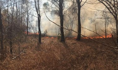 ไฟป่าเผาเทือเขาภูแลนคาหนักสุดรอบ 10 ปีเสียหายแล้วกว่า 1 พันไร่