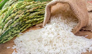 ผู้บริโภคอ่วม "ข้าวสาร-ข้าวเหนียว"ราคาขยับกก.ละ 30 บาท