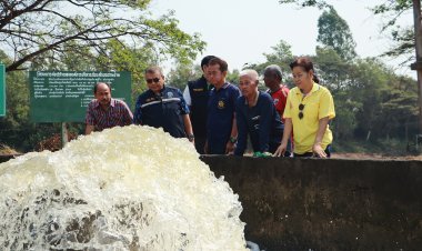 ชลประทานพิจิตรใช้แพสูบน้ำต่อท่อส่งน้ำช่วยข้าวนาปรังกว่า1หมื่นไร่พื้นที่ลุ่มน้ำยมรอดภัยแล้ง