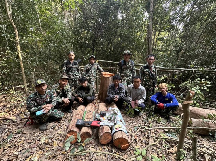 จนท.ล้อมจับแก๊งมอดไม้ลอบขึ้นเขาใหญ่โค่นต้นพะยูงฝั่ง ปราจีนบุรี